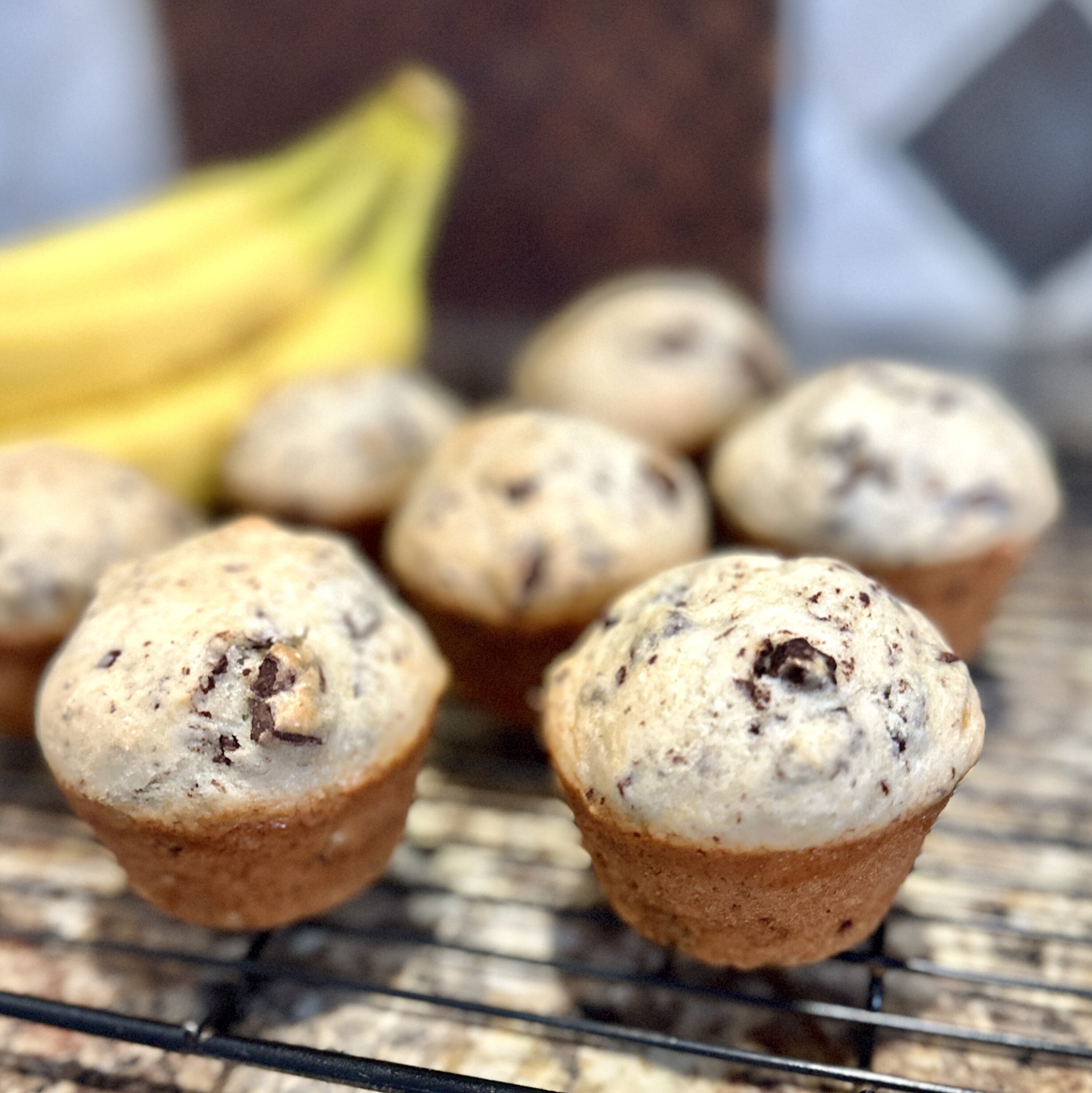Chocolate chunk banana muffins