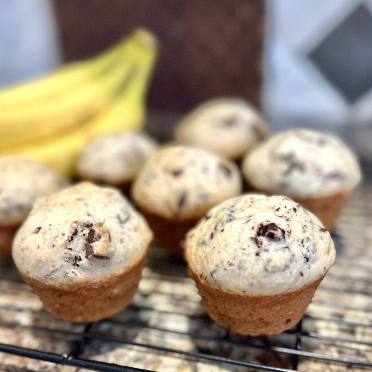 Chocolate chunk banana muffins