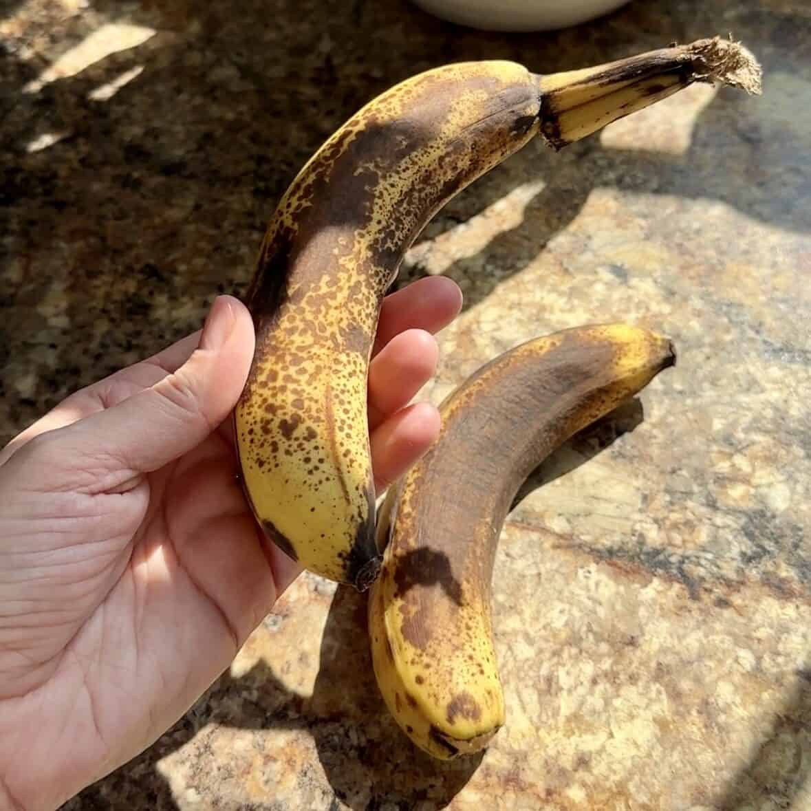 overripe bananas for chocolate chunk banana muffins